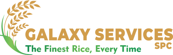 Galaxy Services SPC Logo